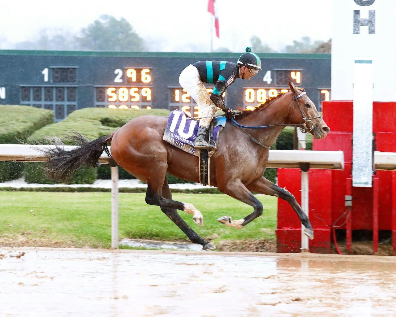 Photo: thoroughbred racing news