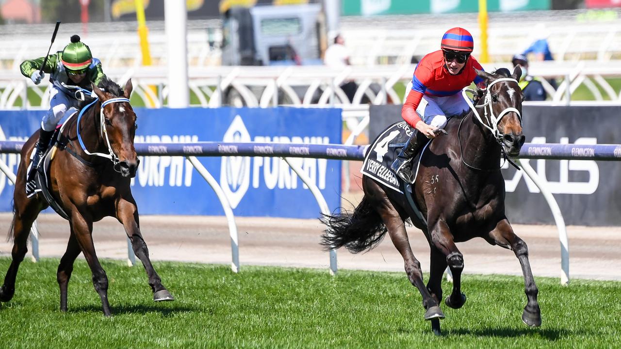 Photo: melbourne horse races today