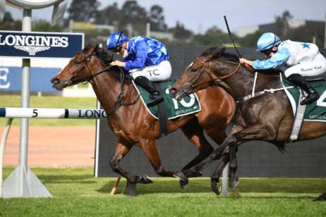 Photo: randwick scratchings today