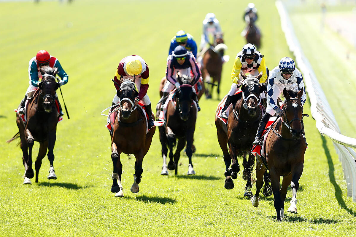 Photo: listen to melbourne cup