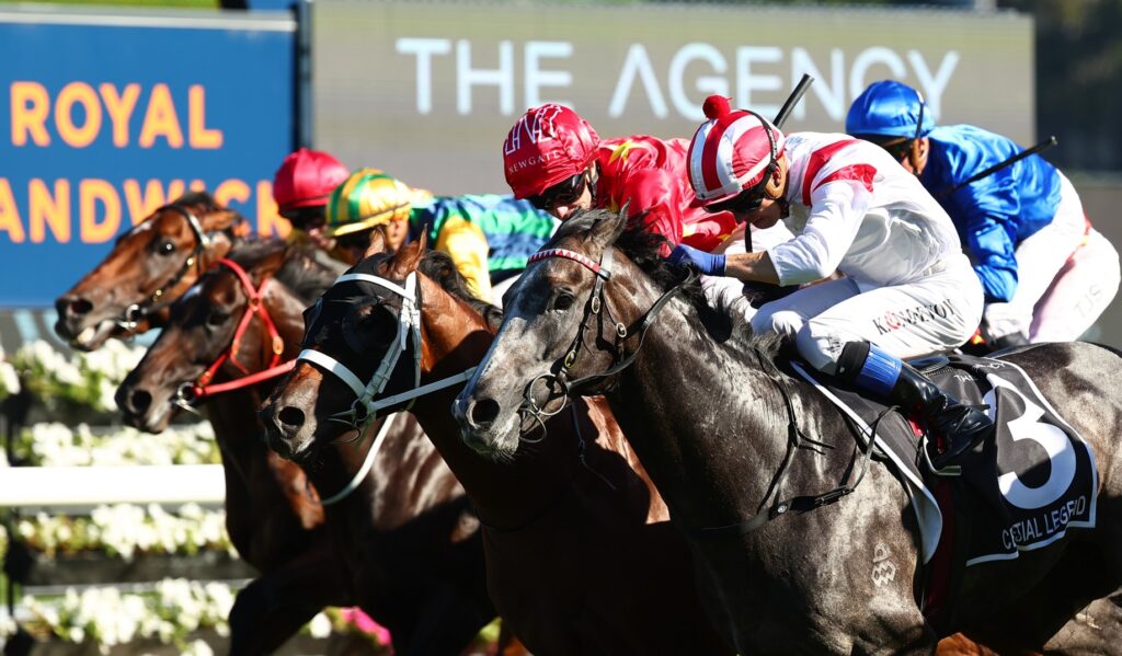 Photo: randwick races saturday results