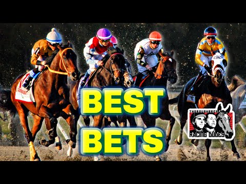 Photo: horse racing best bets