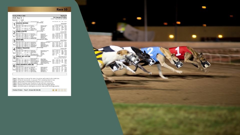 Photo: tonights greyhound results