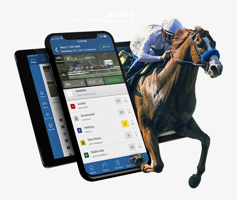 Photo: horse racing betting sites