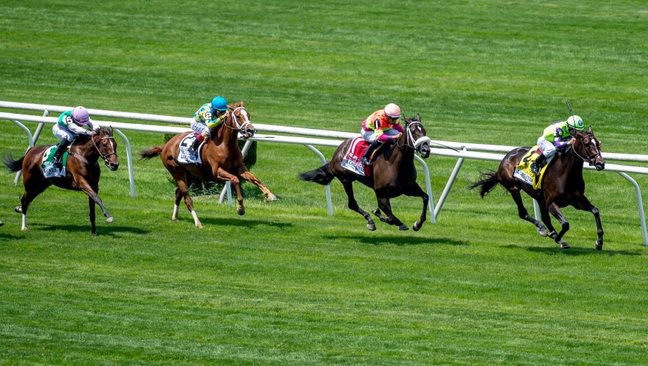 Photo: horse racing betting