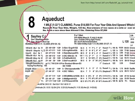 Photo: horse racing form guide