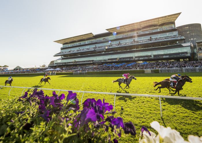 Photo: sydney races