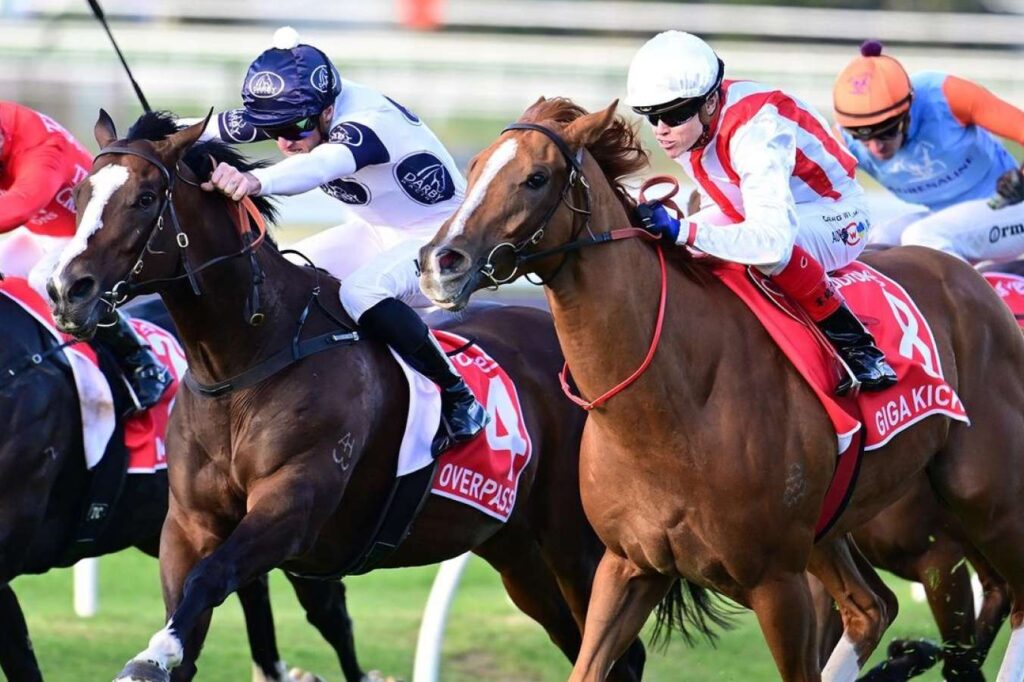 Photo: results of doomben races today