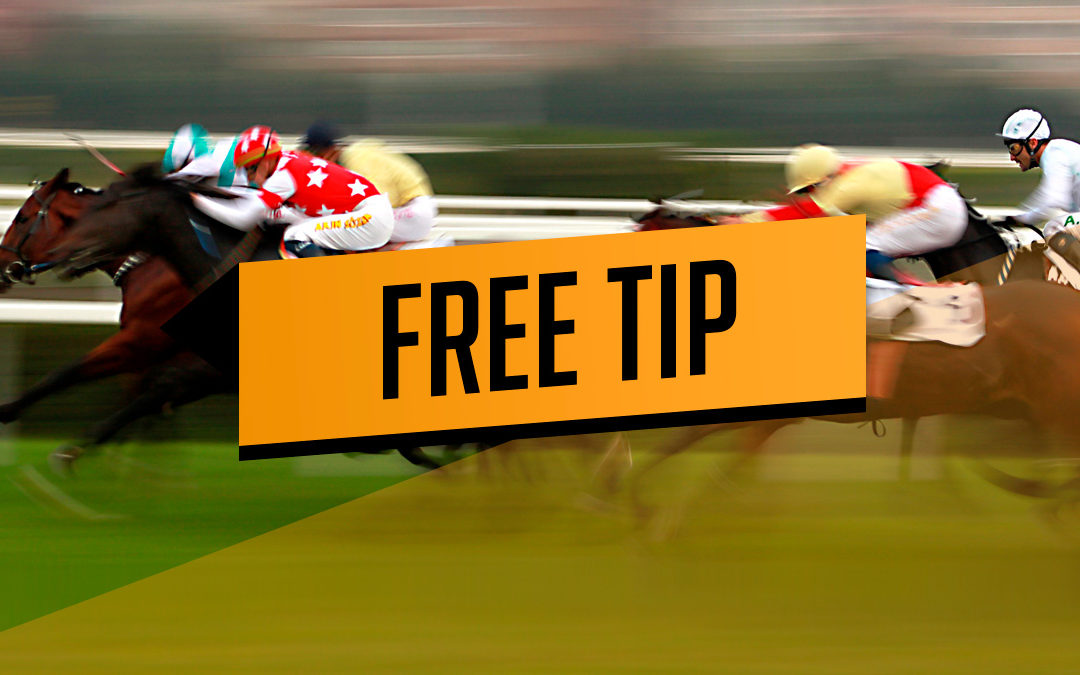 Photo: free horse betting tips