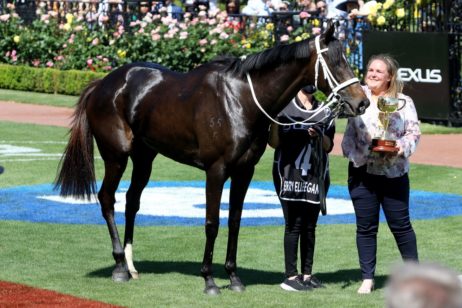 Photo: randwick scratchings