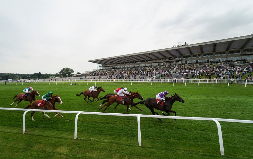 Photo: sandown racecourse results today