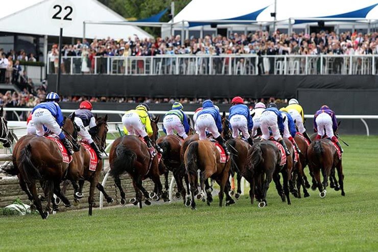 Photo: horse racing melbourne