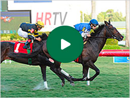 Photo: horse racing video replays