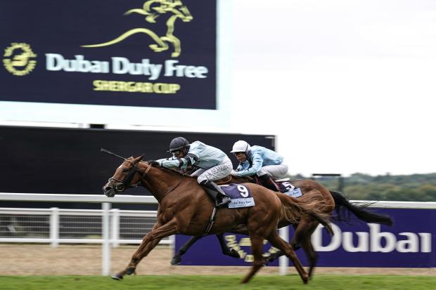 Photo: free saturday racing tips