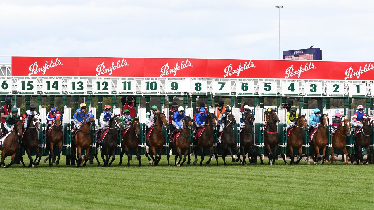 Photo: race 3 flemington today