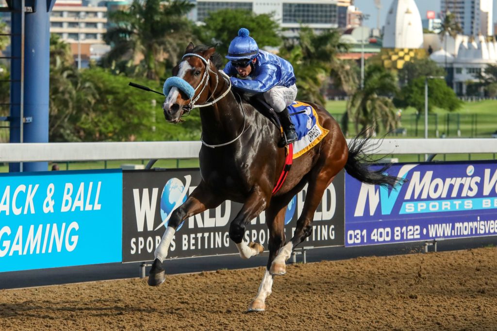 Photo: horse racing scratchings today