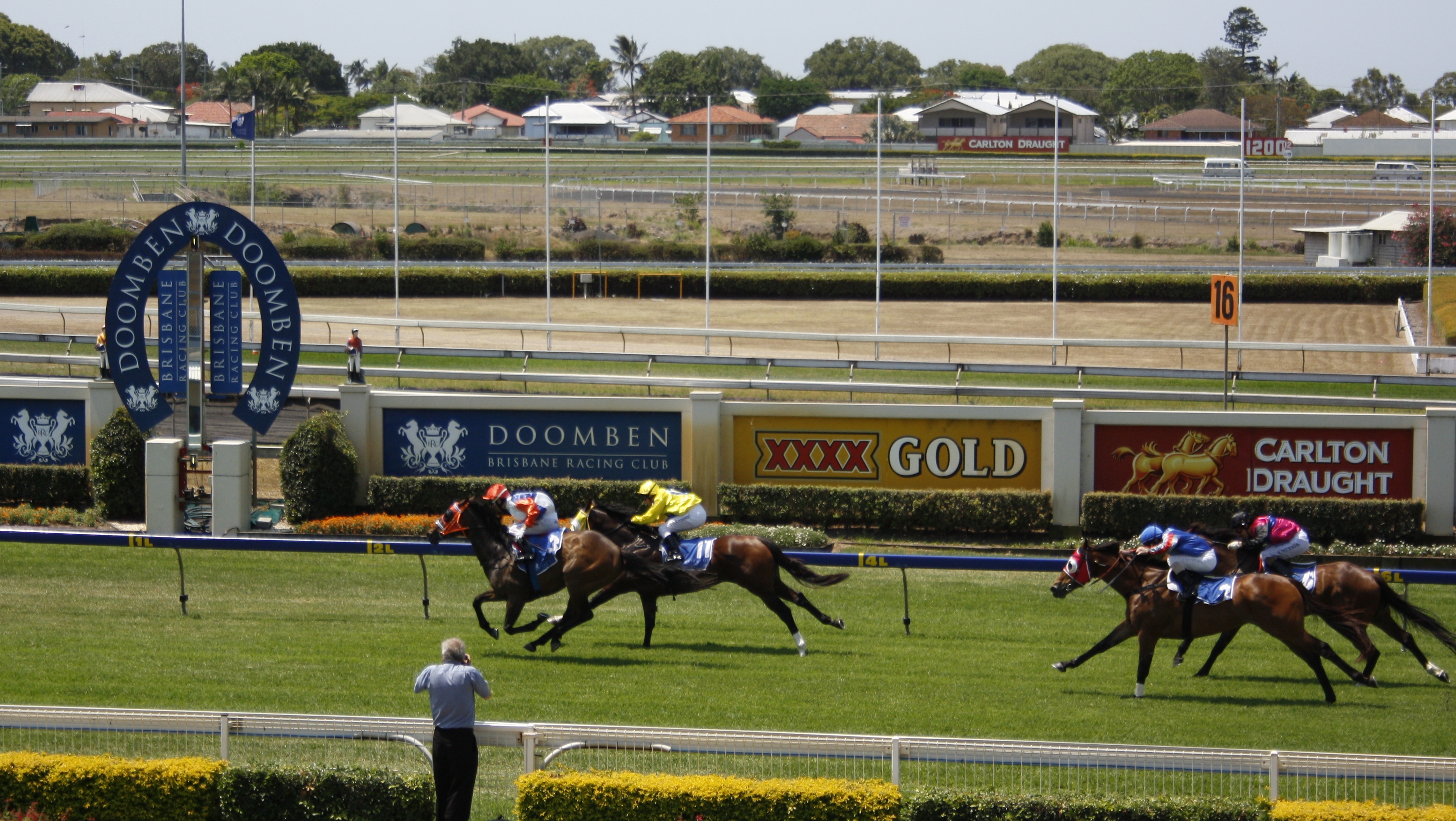 Photo: australian thoroughbred racing