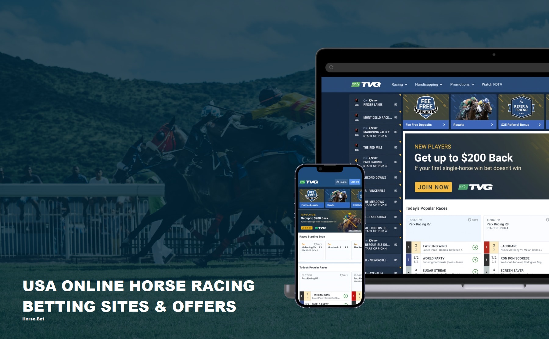 Photo: horse betting website