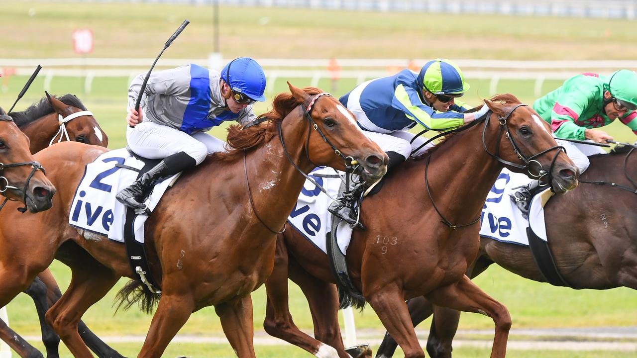 Photo: vic horse racing