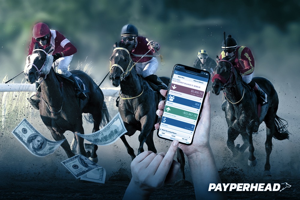 Photo: online horse betting