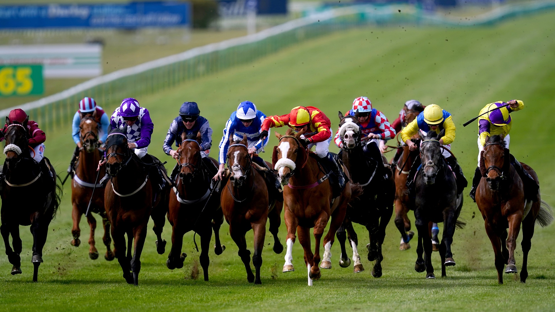 Photo: horse racing today