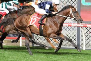 Photo: flemington scratchings today