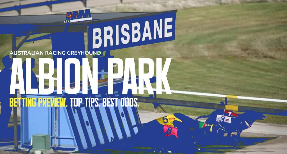 Photo: albion park greyhound results tonight