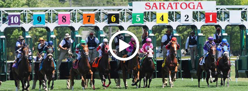 Photo: free race replays horse racing