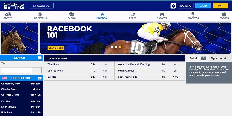 Photo: horse betting website
