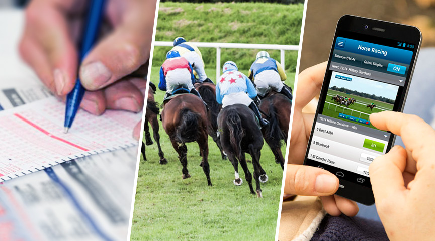 Photo: horse racing betting