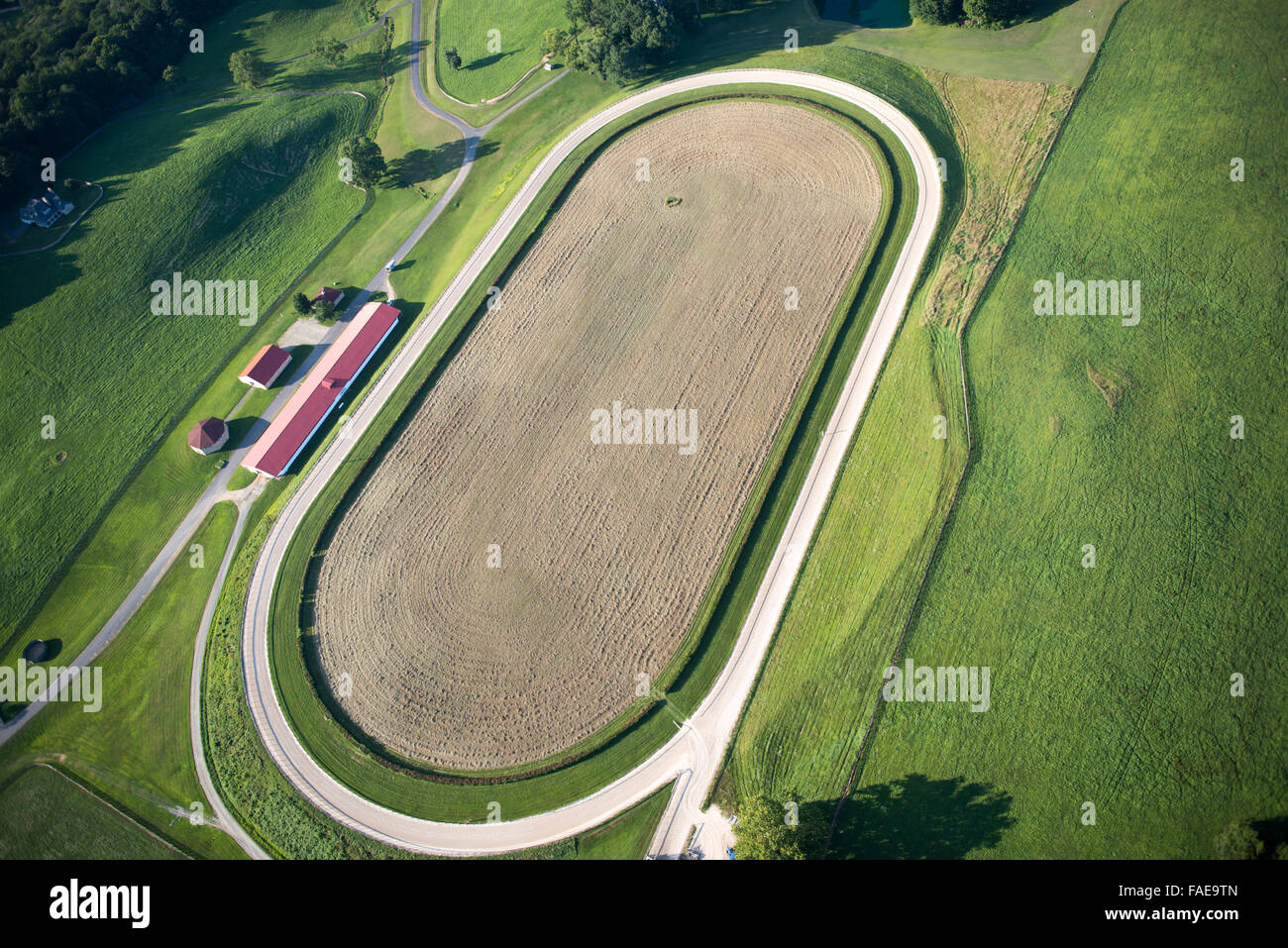 Photo: horse racing fields