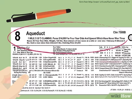 Photo: horse racing form guide