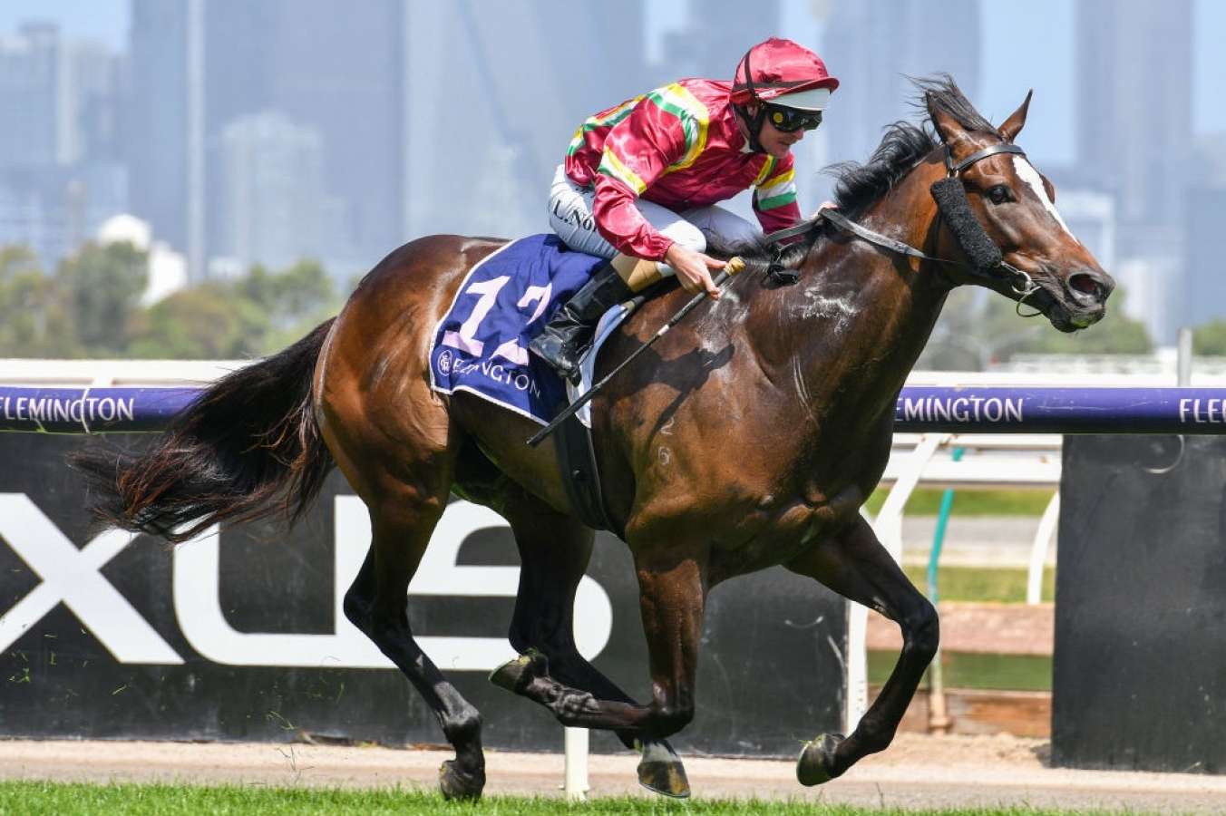 Photo: race 4 flemington today