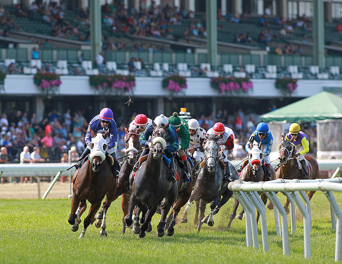 Photo: races near me horse