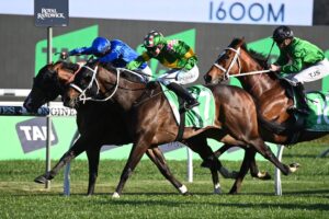 Photo: randwick race results