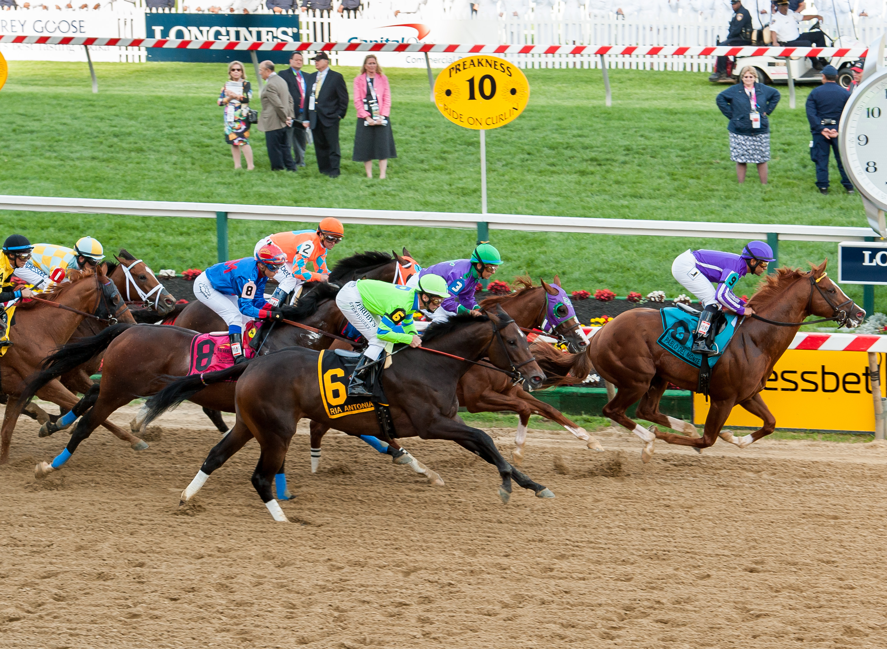 Photo: thoroughbred racing