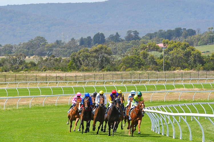 Photo: vic races today